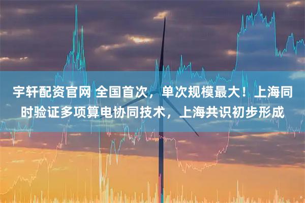 宇轩配资官网 全国首次，单次规模最大！上海同时验证多项算电协同技术，上海共识初步形成